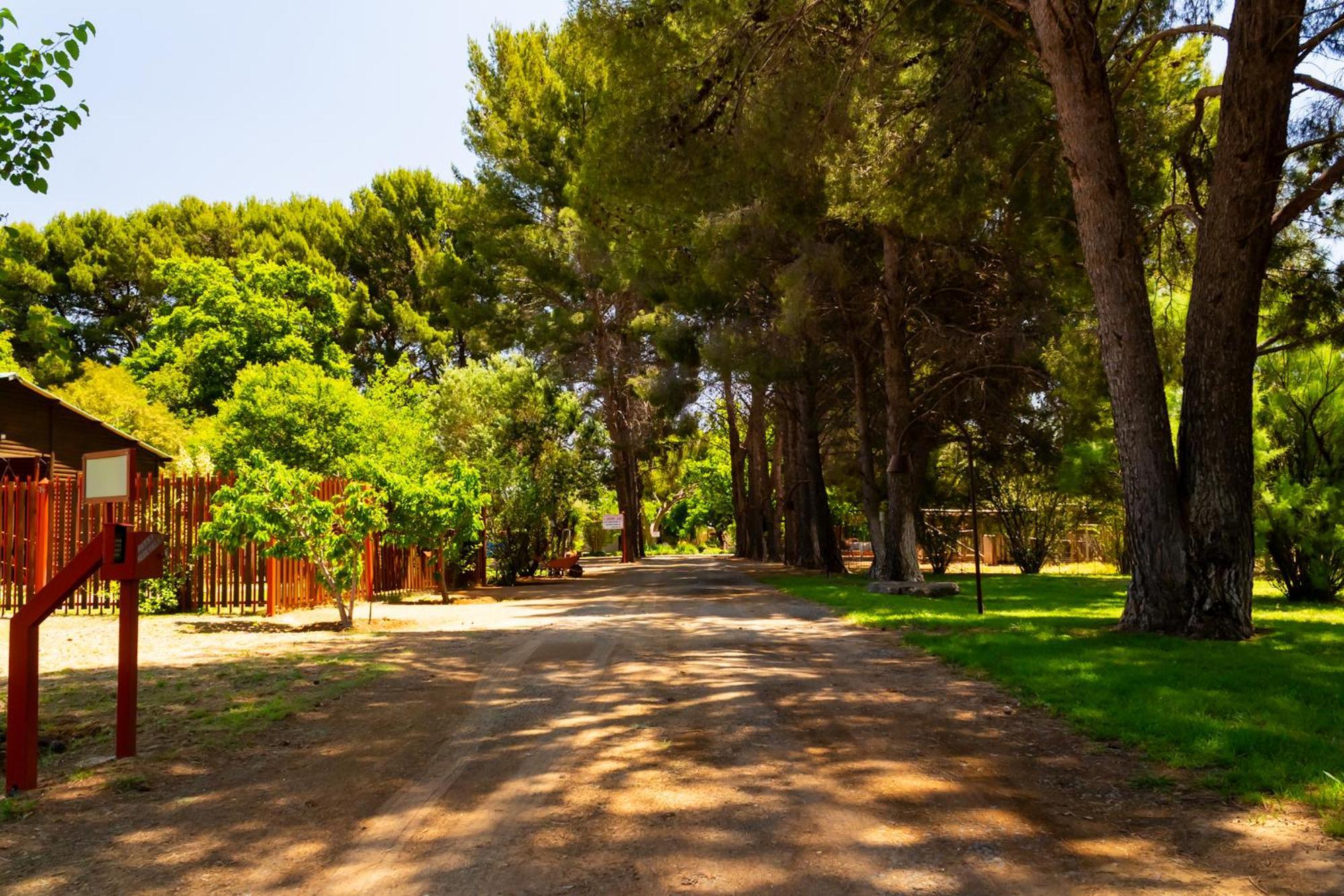 A Cherry Lane Self Catering And B&B Bloemfontein Exterior foto